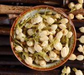 鮮茉莉花怎么炮制成茶？