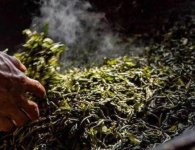 炒茶葉的四大步驟？